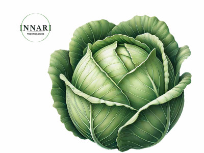 Як виростити ідеальну капусту разом із Innari Technologies?