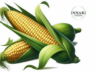 Як виростити кукурудзу? Секрет у правильному підживленні від Innari Technologies!