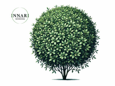 Секрет ідеального самшиту від Innari Technologies