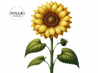 Соняшник: ефективна схема живлення від Innari Technologies