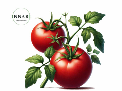 Томати: схема живлення з продуктами Innari Technologies