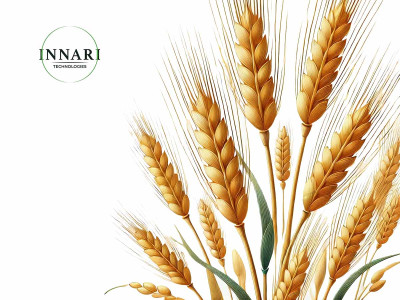 Cхема живлення пшениці з продуктами Innari Technologies